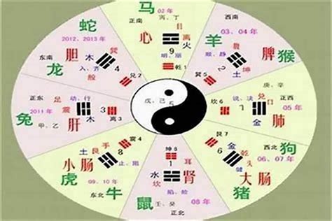 然 五行|然到底是什么属性，有人说属金，有人说属火，有人说属土，难道。